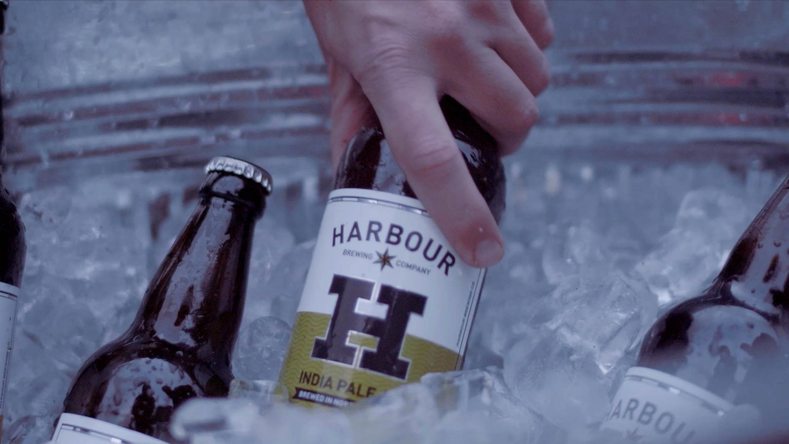 Harbour Brewing Shoot