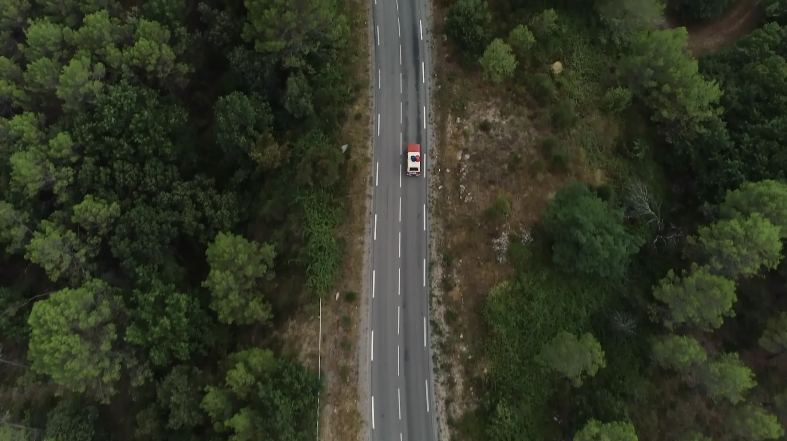 Digital Content Production Partner