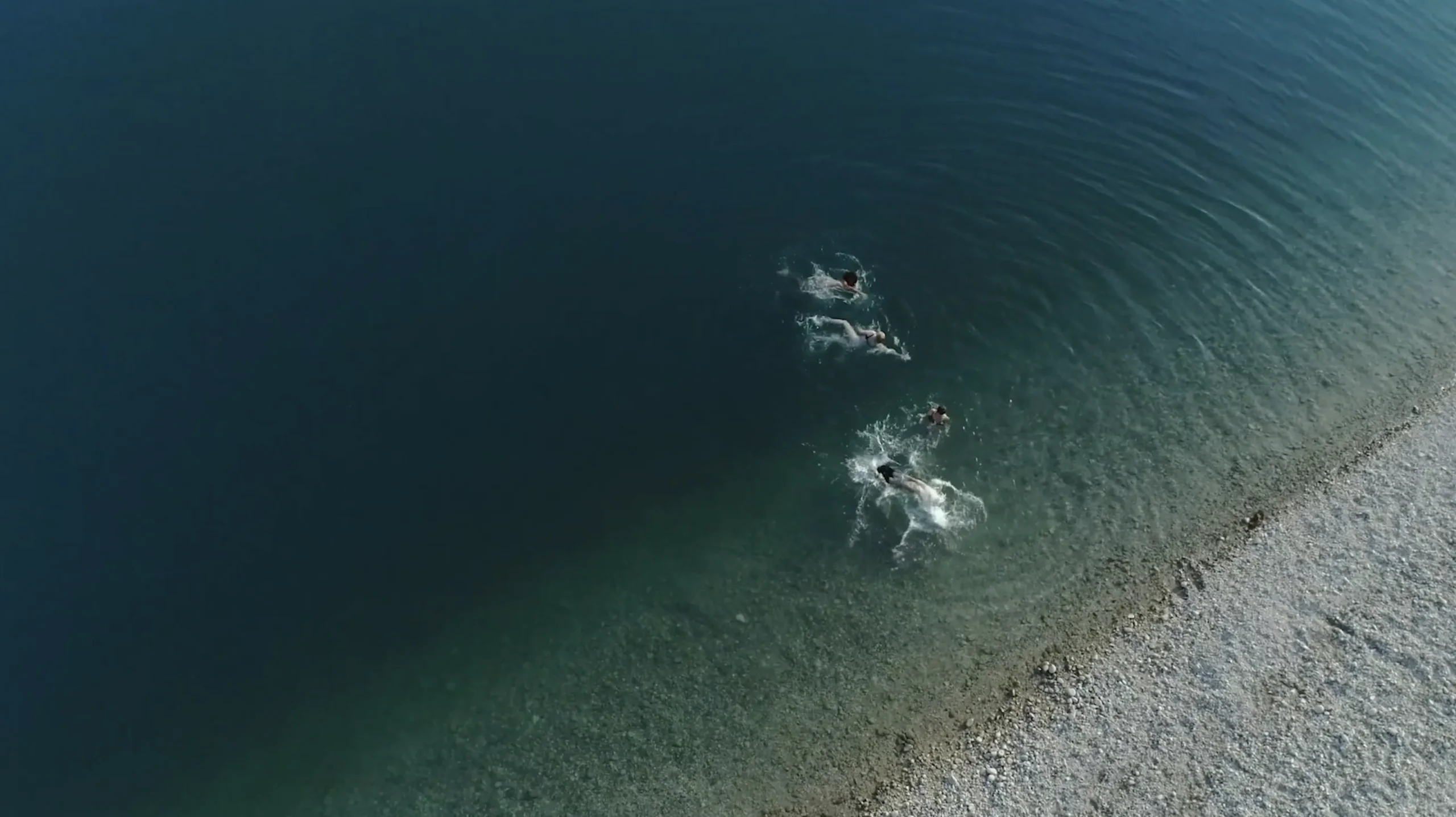 Digital Content Production Partner