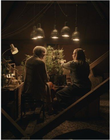 Dorothy's warm, densely furnished attic with pendant lights and plants